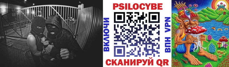 Галлюциногенные грибы Cubensis  Купить закладки  Горячий Ключ 